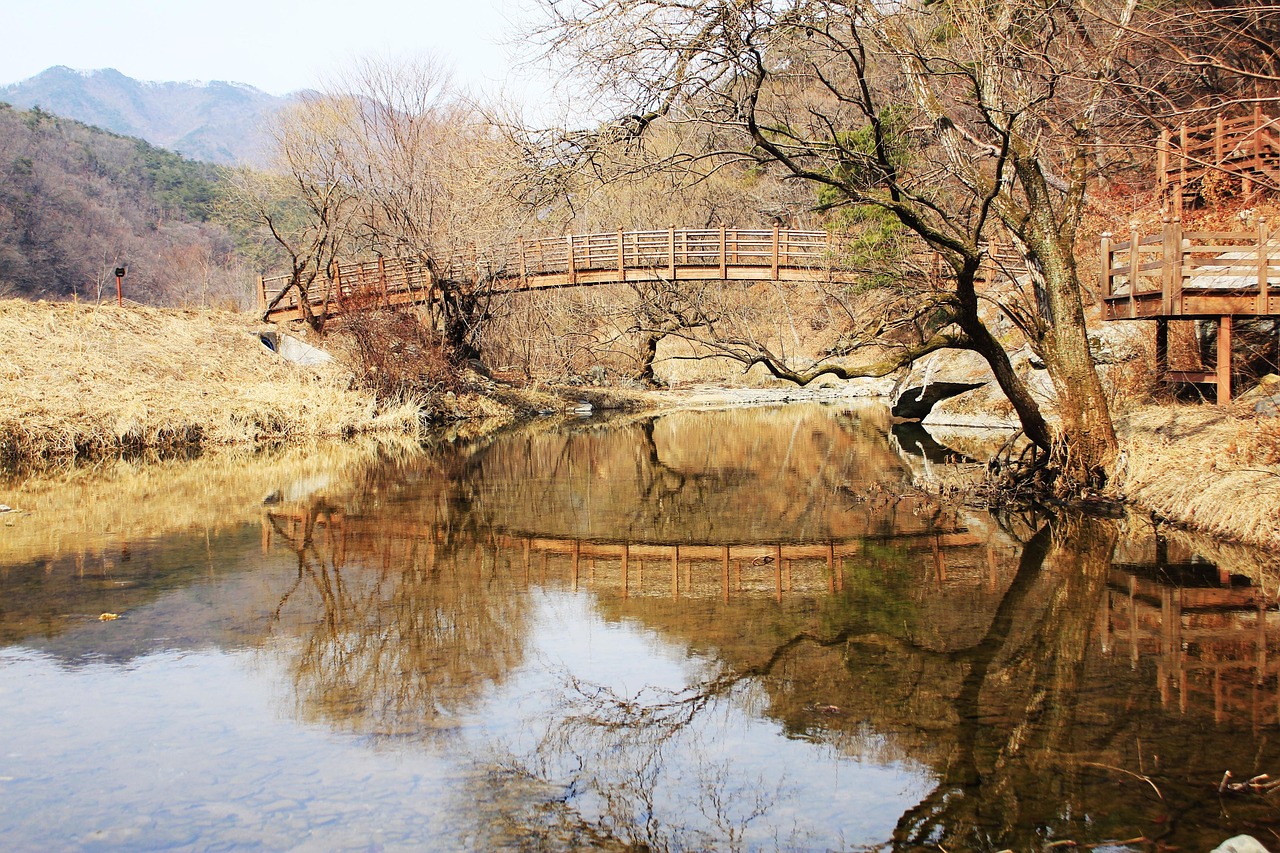 대출과 인공지능의 만남, 새로운 금융 패러다임